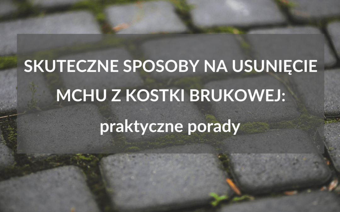 Skuteczne sposoby na usunięcie mchu z kostki brukowej – praktyczne porady