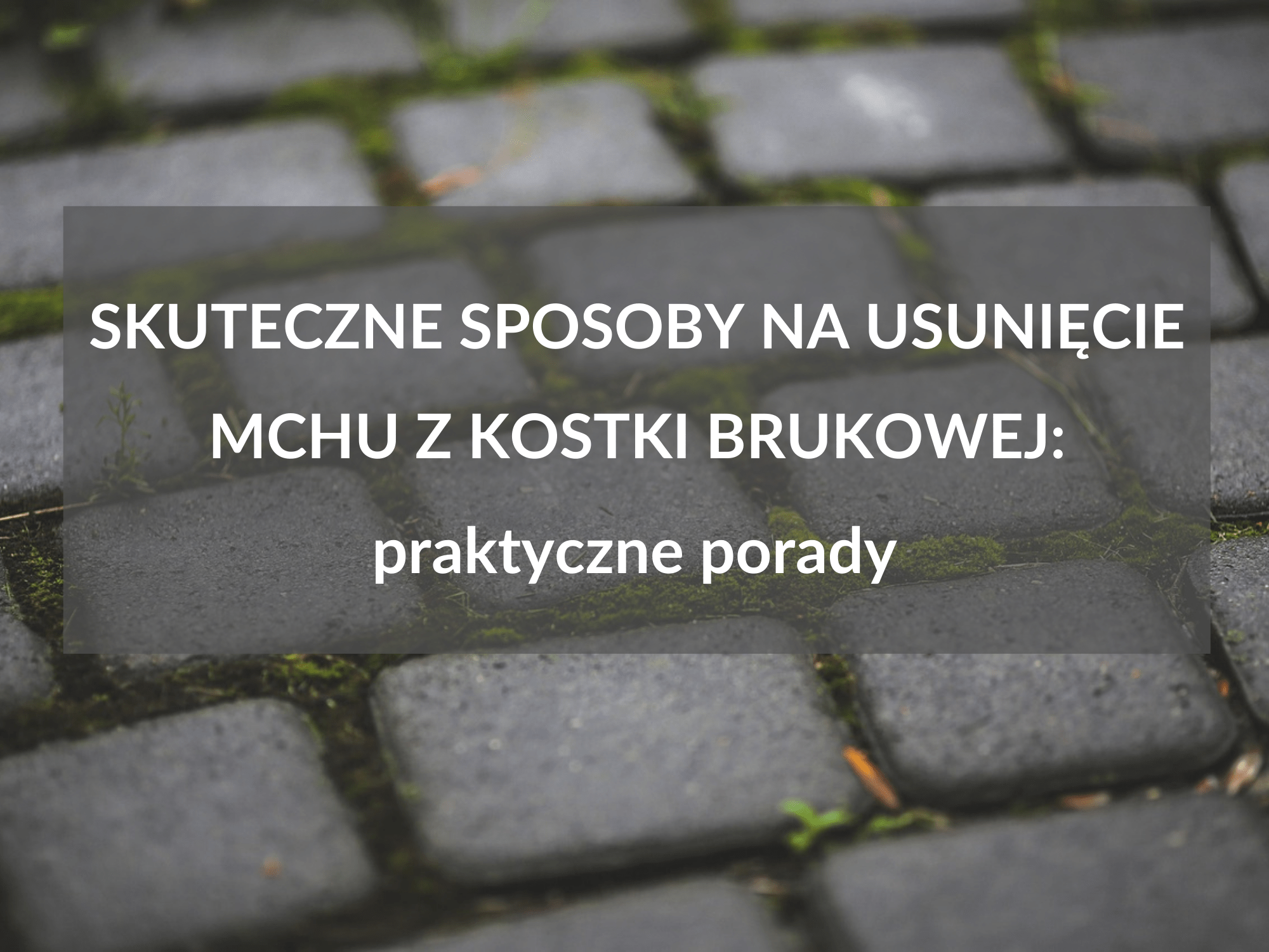 mech na kostce brukowej jak usunąć? jak usunąć mech z kostki brukowej